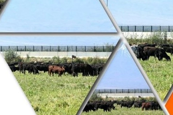 TİGEM 'Kırsalda Bereket Hayvancılığa Destek Projesi' için yeni duyuru