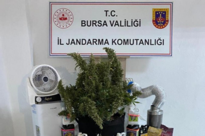 Bursa'da zehir tacirlerine geçit yok