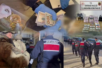 7 ilde 7 suç örgütüne büyük darbe! Hesaplarda 251 milyon TL'lik hareket