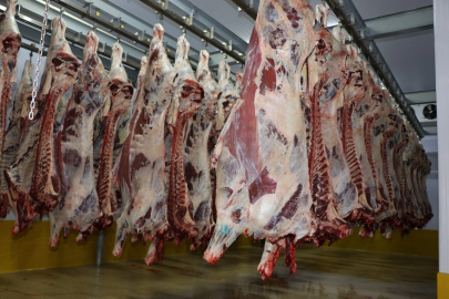 Kocaeli Mezbahası’nda 6 bin 29 kesim yapıldı