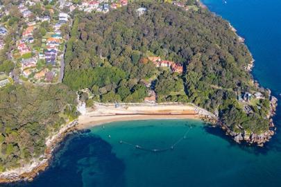 Sydney'de meydana gelen köpekbalığı saldırısında bir çocuk hayati tehlike altında