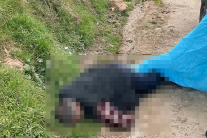 İznik 'te cinayet ! Keserle döverek öldürdü