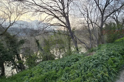 Mustafakemalpaşa 'da Toprağa gömülü bebek bulundu