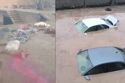 Siirt sele teslim, onlarca hayvan telef oldu