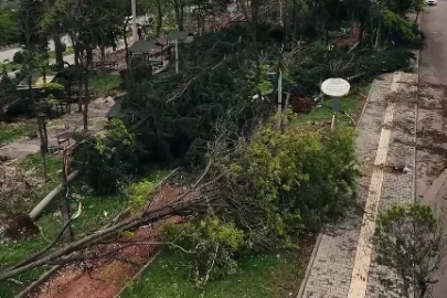 Gaziantep'e 50 milyon TL sosyal yardım aktarıldı