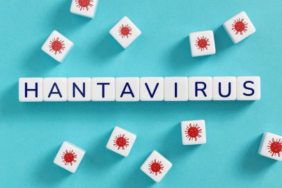 Hantavirüsün Pandemiye Dönüşme Riski Var Mı?