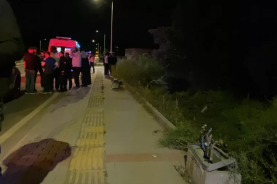 İznik 'te kontrolden çıkan araç zeytinliğe uçtu