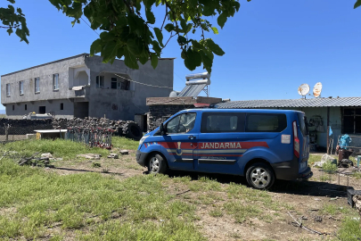 Urfa'da yılan korkusu : Tüfekten çıkan saçmalar 5 kişiye isabet etti