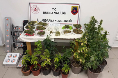 İnegöl’de yüklü miktarda kenevir ve esrar ele geçirildi