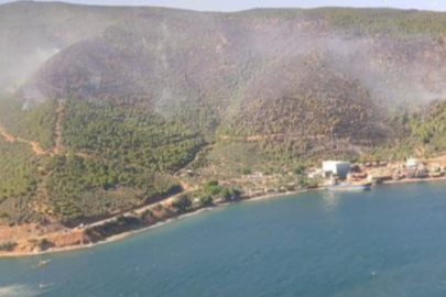 Gemlik'te orman yangını kontrol altına alındı! İtfaiye ekipleri alev kapanında mahsur kaldı