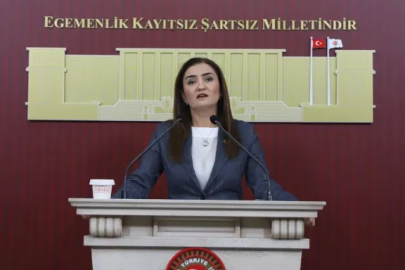 CHP Grup Başkanvekili Sevda Erdan Kılıç, silahsızlanma sürecinin denetlenebilir ve kalıcı olması gerektiğini belirtti
