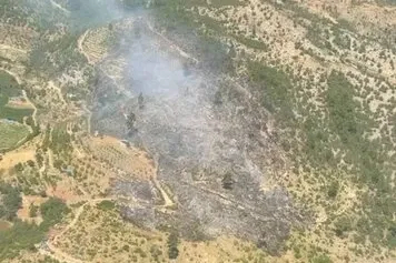 Bursa’nın Kestel ve Yenişehir ilçeleri ile İzmir’in Kiraz ilçesinde meydana gelen yangınlar kontrol altında