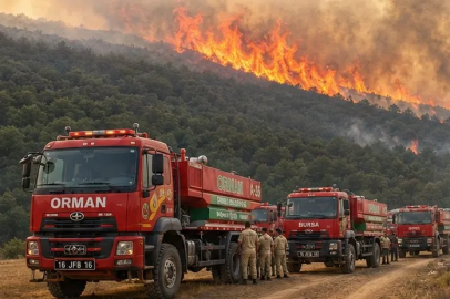 Bursa Hasanağa’da orman yangını, yangın ormanlık alana sıçradı