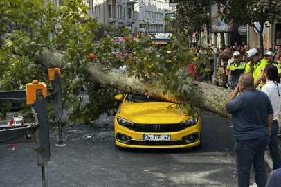 İstanbul Şişli’de çınar ağacı trafikte iki aracın üzerine devrildi