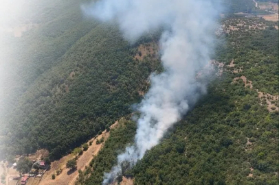 Bursa Kestel ve Harmancık'ta orman yangını
