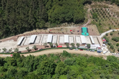 Gemlik’te Geçici Hayvan Bakımevi ve Rehabilitasyon Merkezi’ ziyaretçilere hep açık