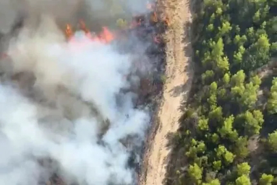 Antalya Serik’te orman yangını, bölgeye çok sayıda hava ve kara aracı sevk edildi.