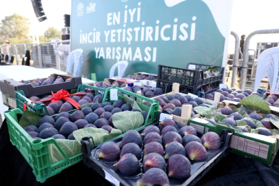 12. Akçalar Fadıllı İncir Festivali, 13 Eylül Pazar günü Akçalar Göl Kıyısı’nda düzenlenecek