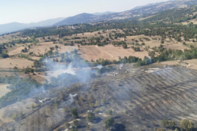 Bursa’da tarım arazisinde başlayan yangın ormana sıçradı