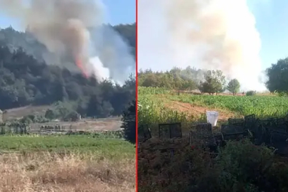 Kestel’de orman yangını: Alevlere havadan ve karadan müdahale